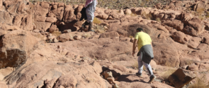 hikers having a desert adventure in Egypt