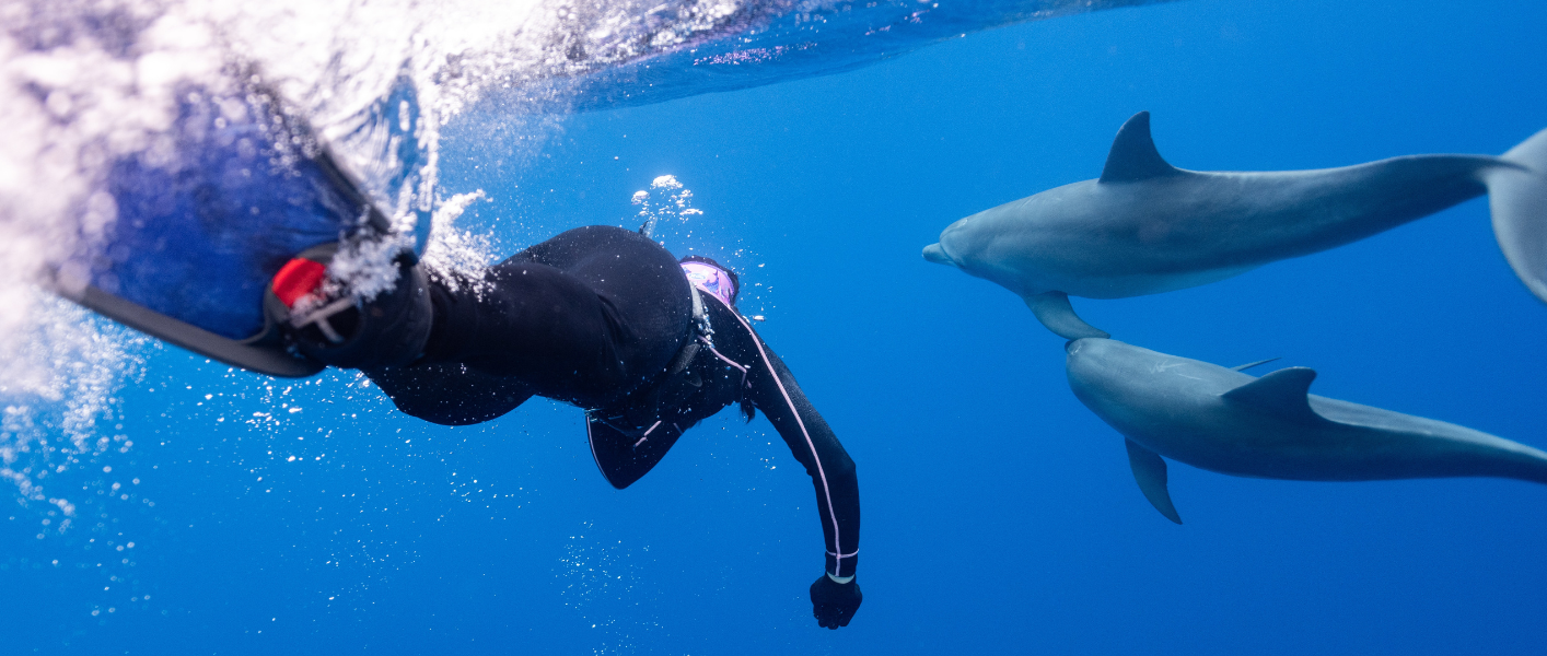 man swimming with dolphins underwater